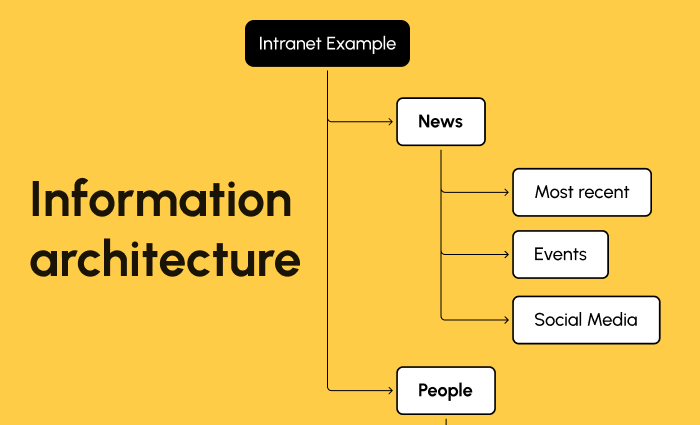 Information Architecture Image